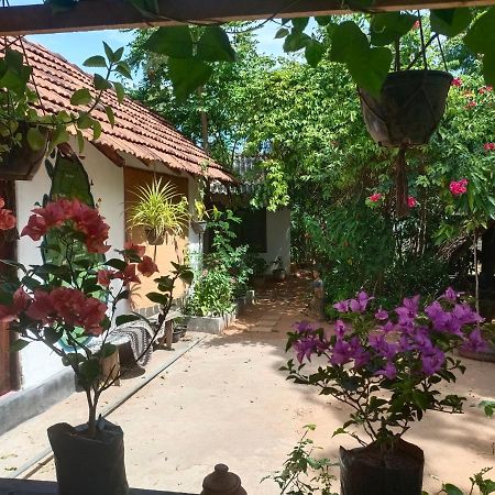 Mamisa Cafe, Home Stay Habarana Dış mekan fotoğraf
