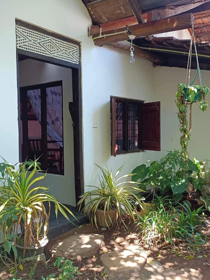 Mamisa Cafe, Home Stay Habarana Dış mekan fotoğraf