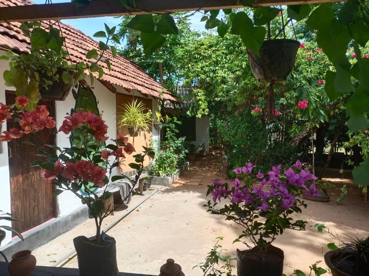 Mamisa Cafe, Home Stay Habarana Dış mekan fotoğraf